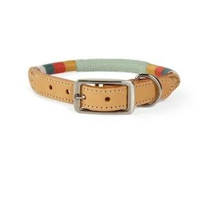 Youly Colorful Leather Dog Collar(The Wanderer)